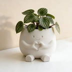 Unique Resin Planter