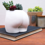 Resin Character Planter
