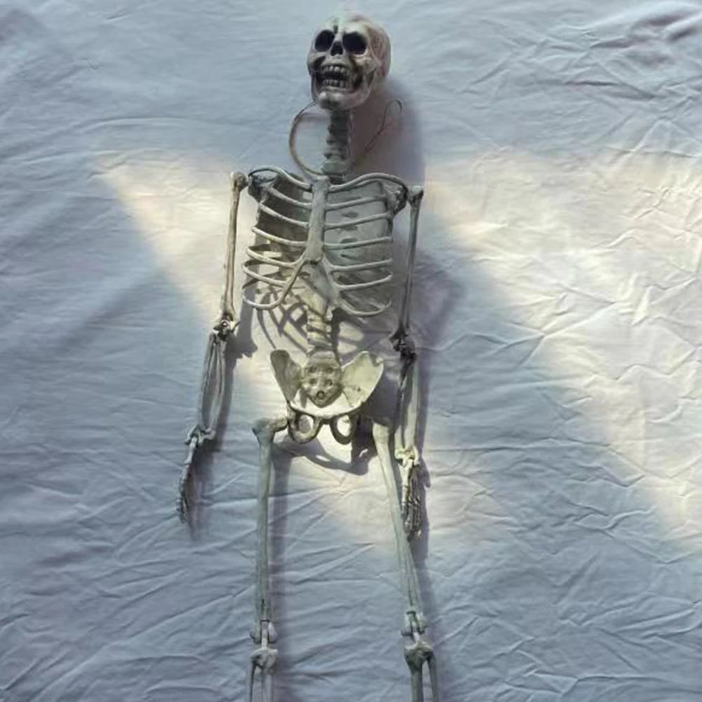 Life-Size 170 cm Posable Halloween Skeleton