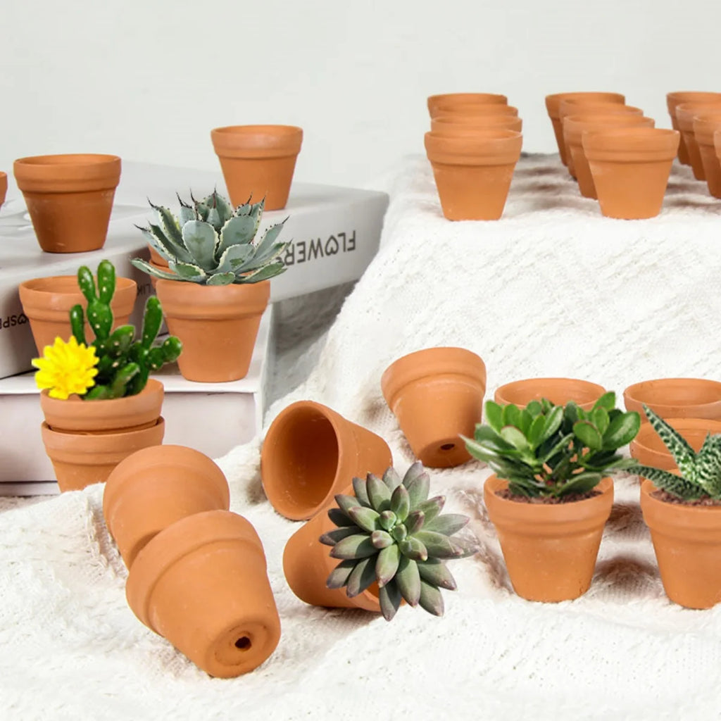 Planters Bulk 30-Pack