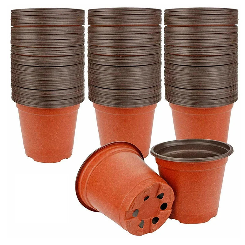 75-Pack Nursery Pots