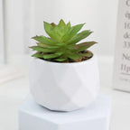 Lifelike Faux Succulent Arrangement