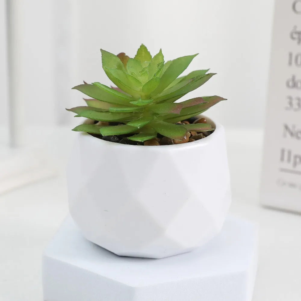 Lifelike Faux Succulent Arrangement
