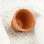 Planters Bulk 30-Pack