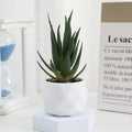 Lifelike Faux Succulent Arrangement