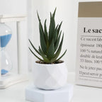 Lifelike Faux Succulent Arrangement
