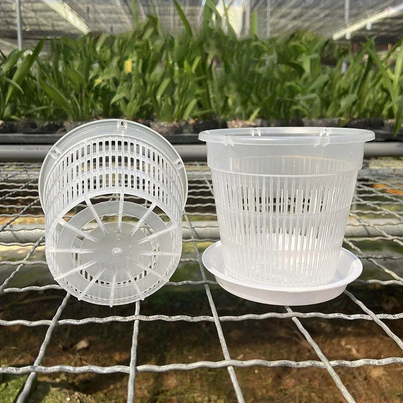 Mesh Root-Control Orchid Pot — WESTMERE