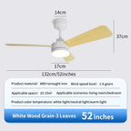 Black Remote-Control Ceiling Fan Light