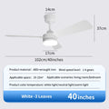 Black Remote-Control Ceiling Fan Light