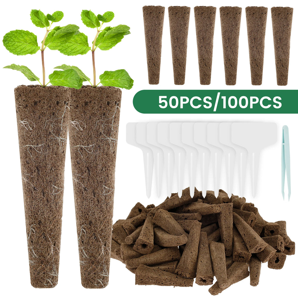 Hydroponic Seed Grow Sponge Kit