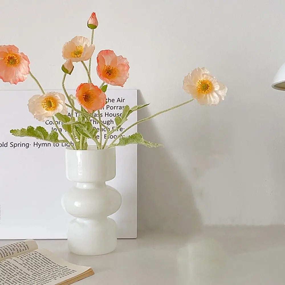 Minimalist Hydroponic Glass Vase