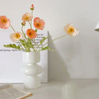 Hydroponic Glass Flower Vase