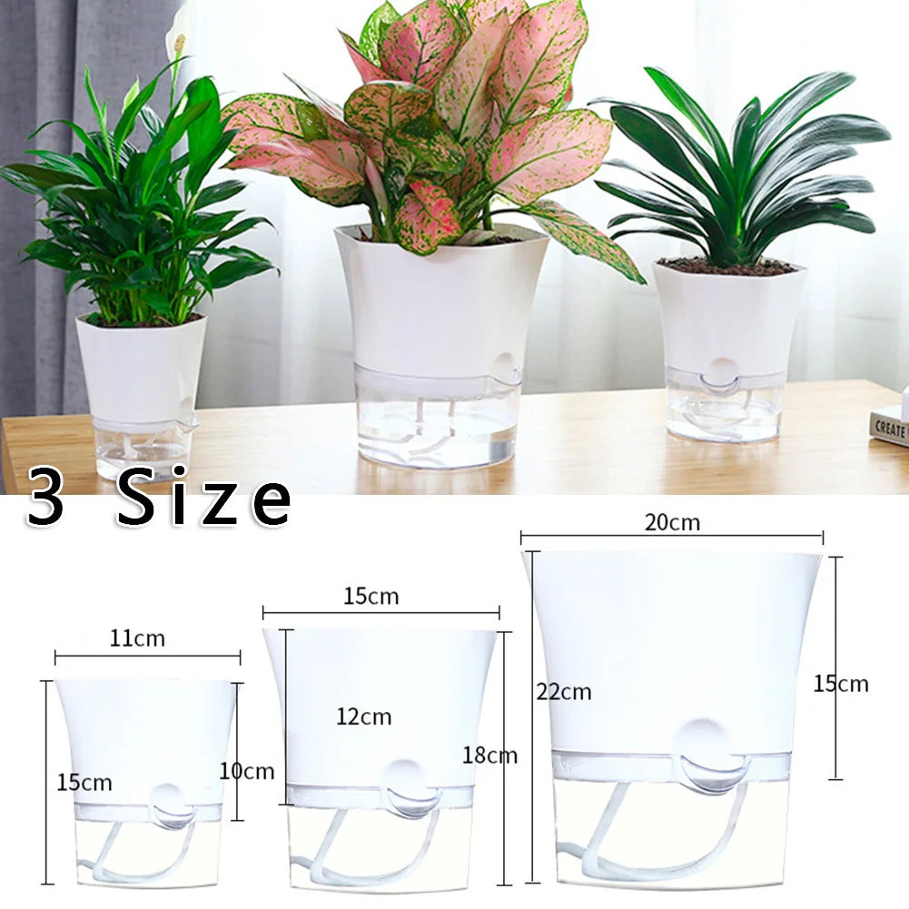 Transparent Planter — additional view
