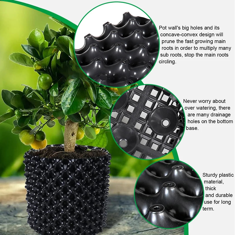 Air-Pruning Root Trainer Pot