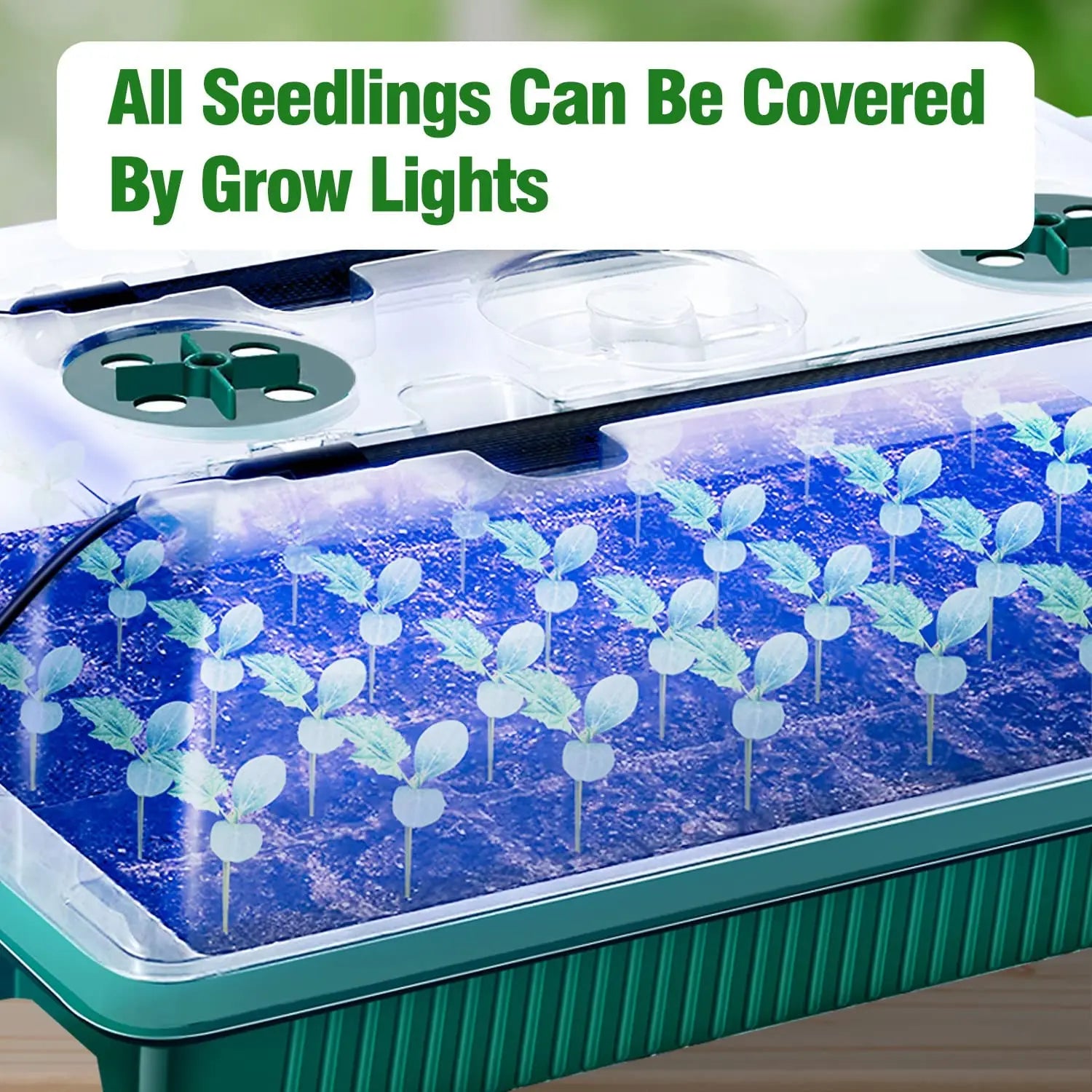 LED Seed Starter Tray Kit