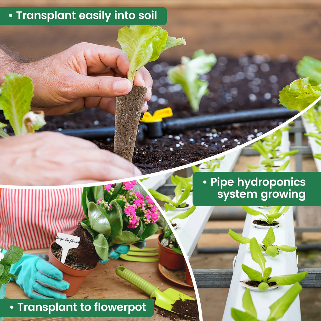 Hydroponic Seed Grow Sponge Kit