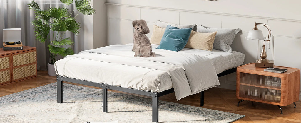 Metal Platform Bed Frame