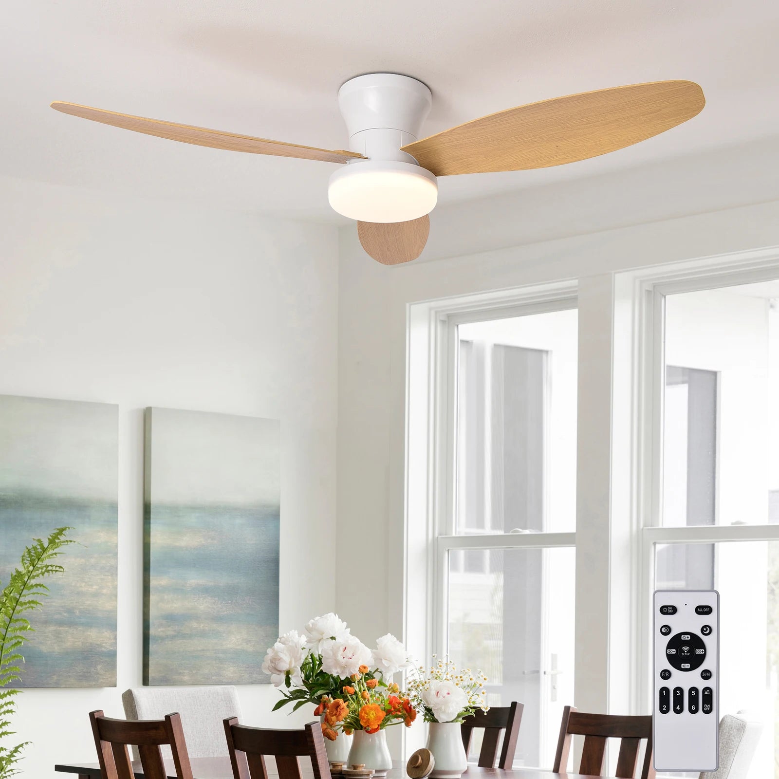 AirFlow Ceiling Fan Light