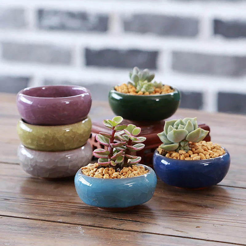 Cute Ceramic Planter