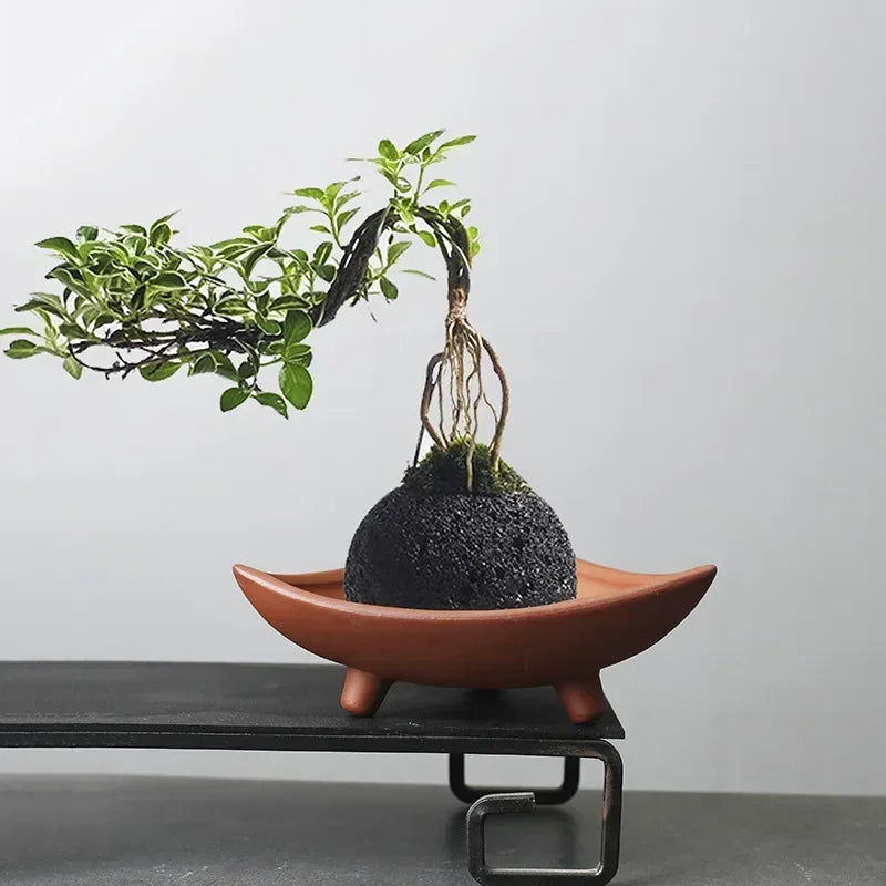 Bamboo Ceramic Planter