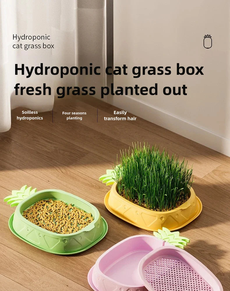 Hydroponic Cat Grass Planter