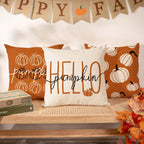 Vintage Pumpkin Fall Pillow Covers