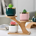 Bamboo Indoor Plant Stand