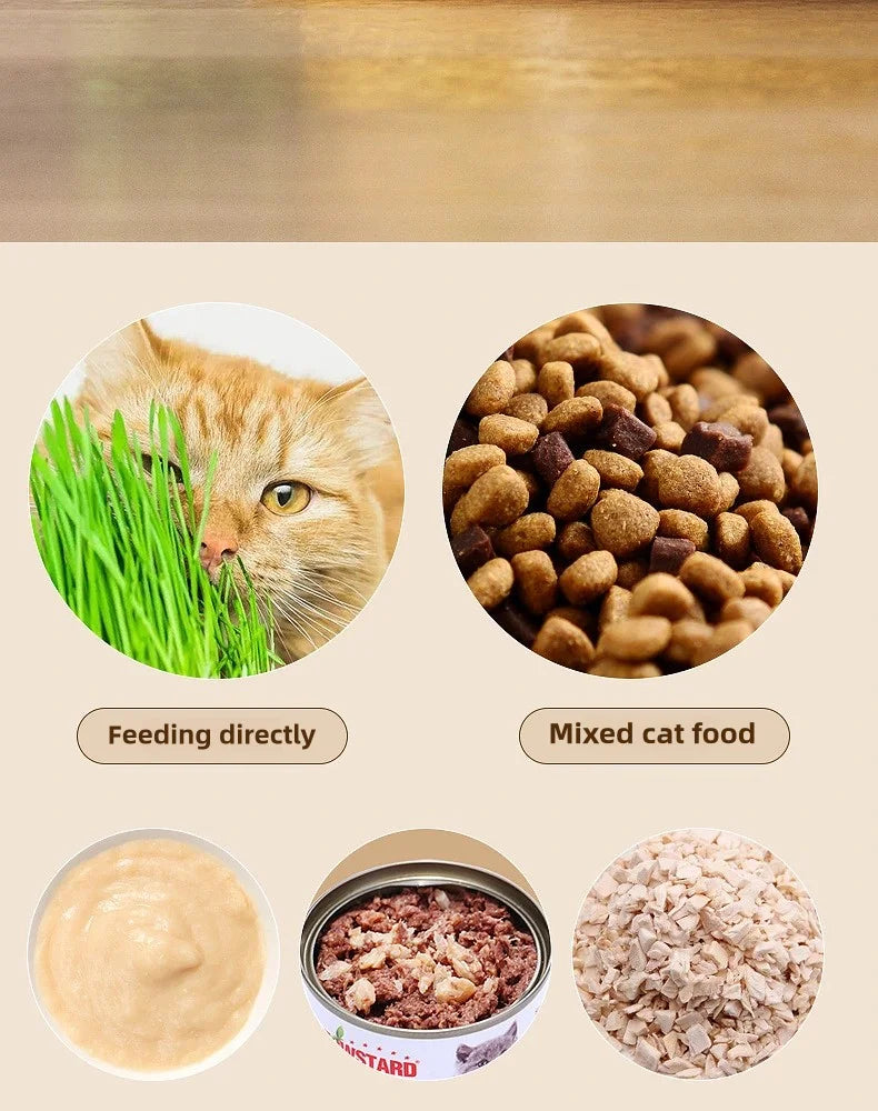 Hydroponic Cat Grass Planter