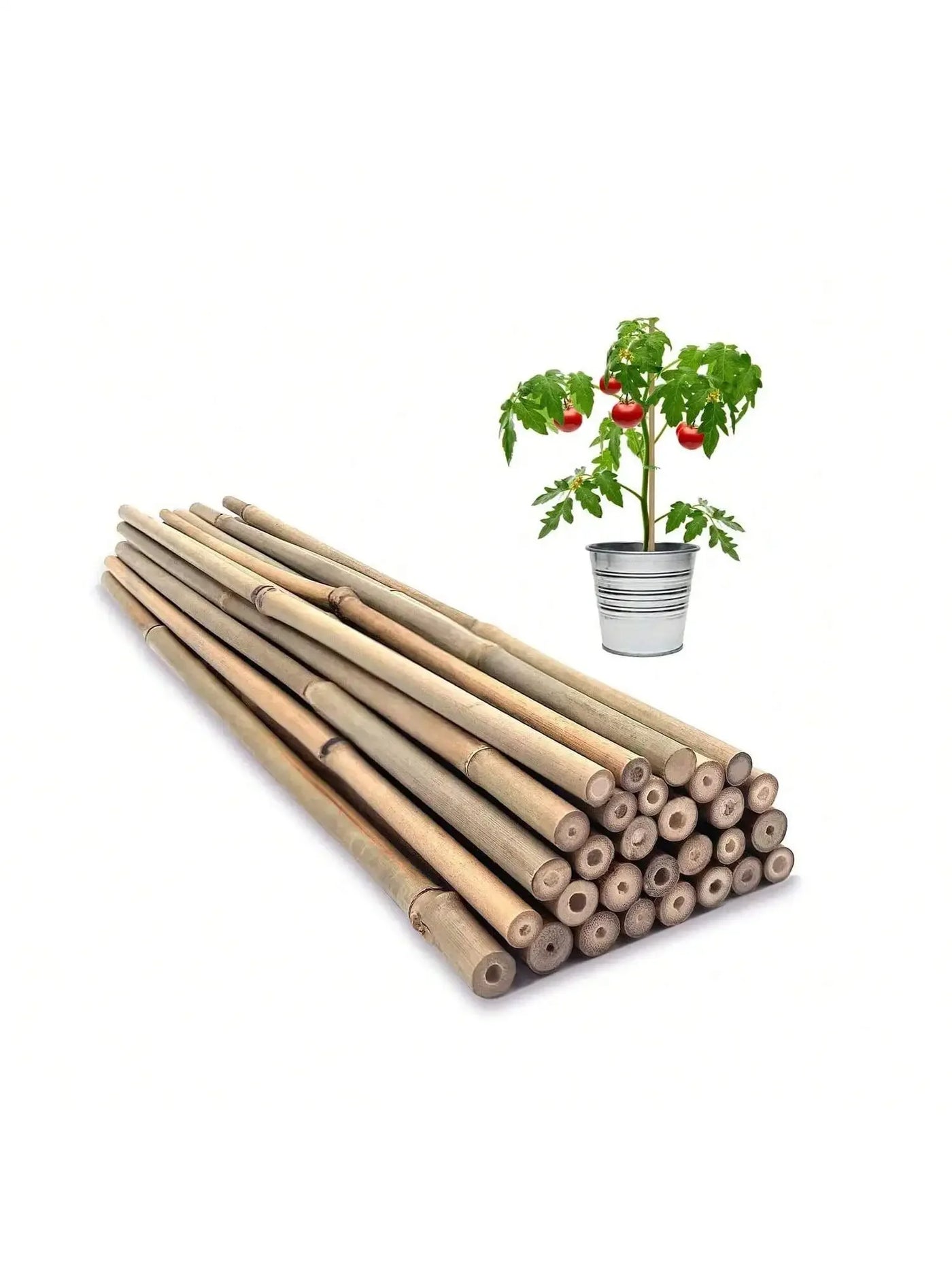 Bamboo Plant Support Stakes — additional view