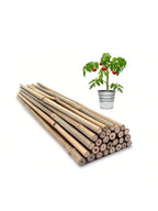 Bamboo Plant Support Stakes