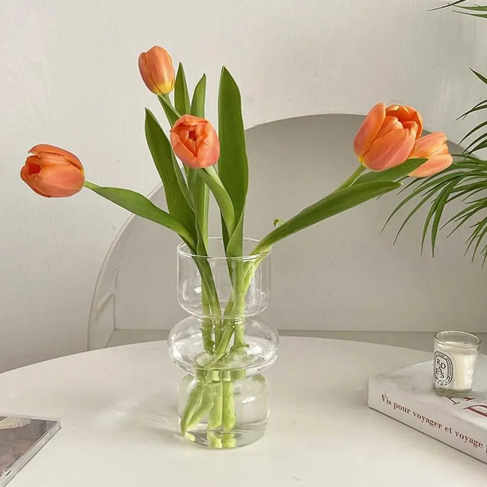 Minimalist Hydroponic Glass Vase