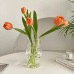 Hydroponic Glass Flower Vase