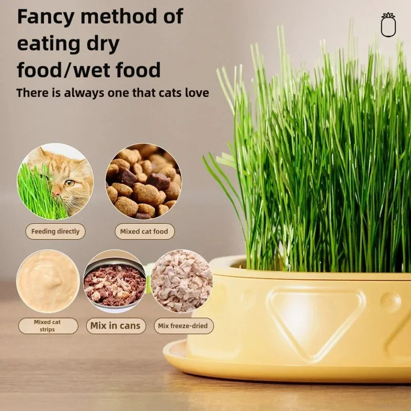 Hydroponic Cat Grass Planter