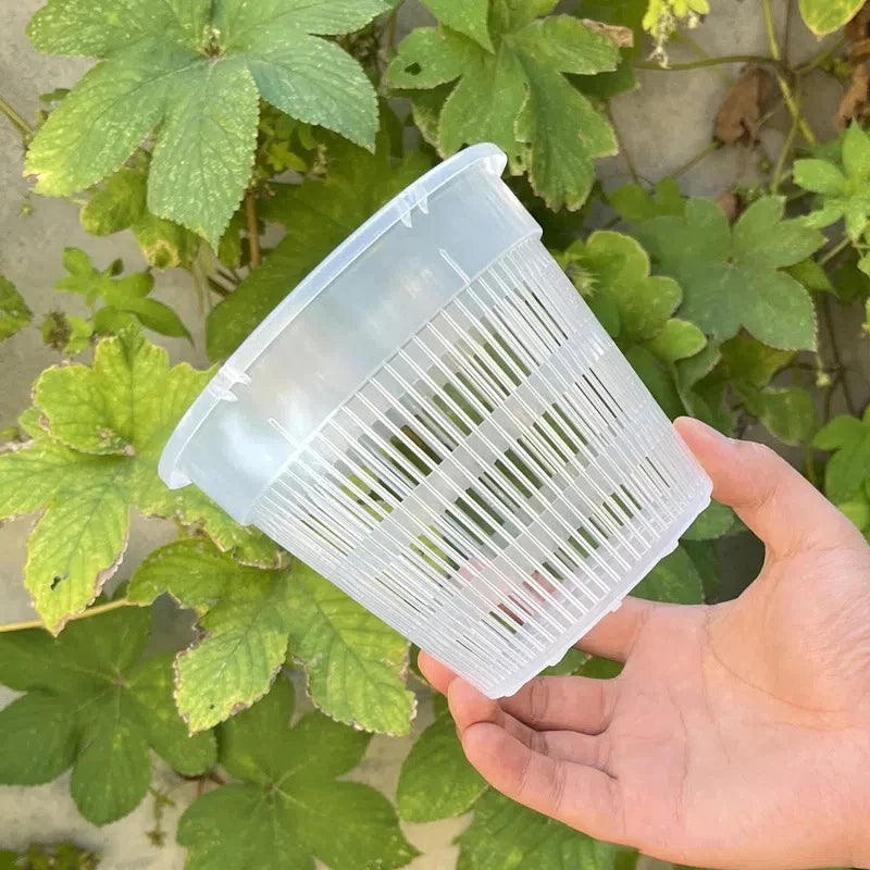 Mesh Root-Control Orchid Pot