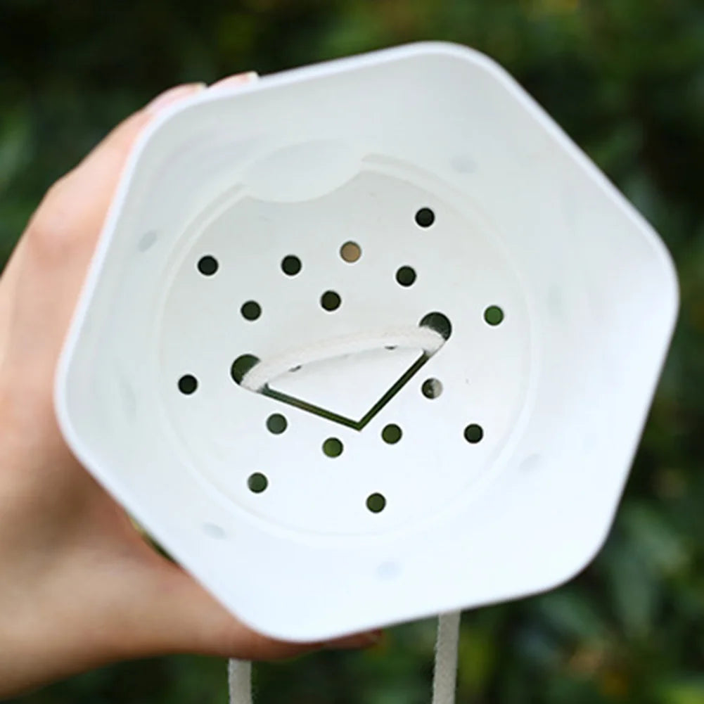 Transparent Planter