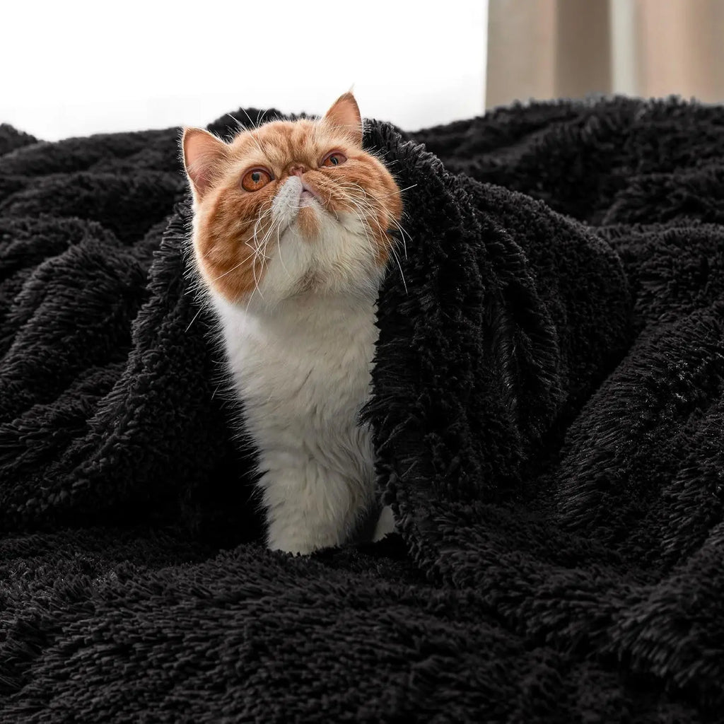 Black Faux-Fur Sherpa Throw Blanket