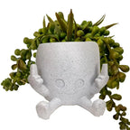 Funny Planter