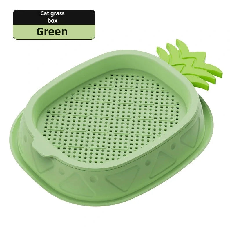 Hydroponic Cat Grass Planter
