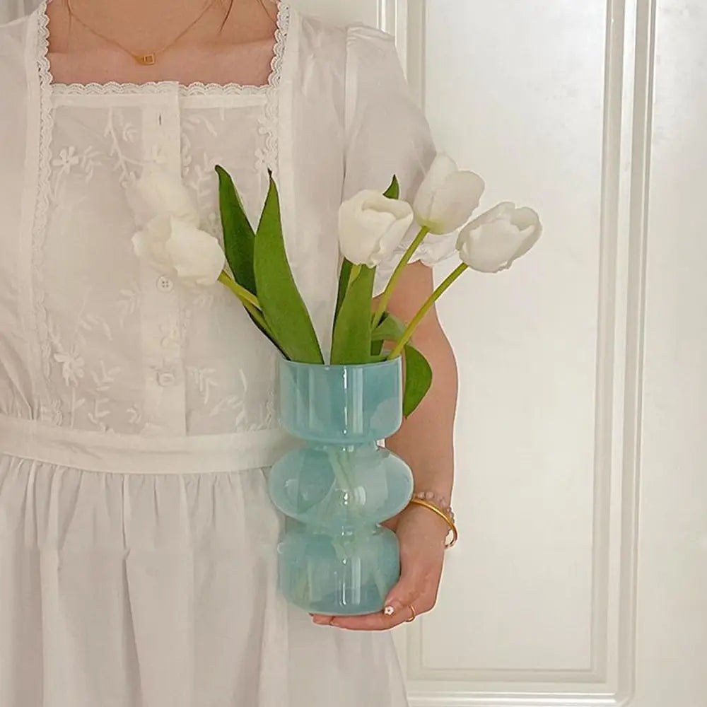 Minimalist Hydroponic Glass Vase