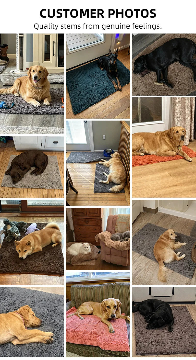 Washable Absorbent Dog Door Mat