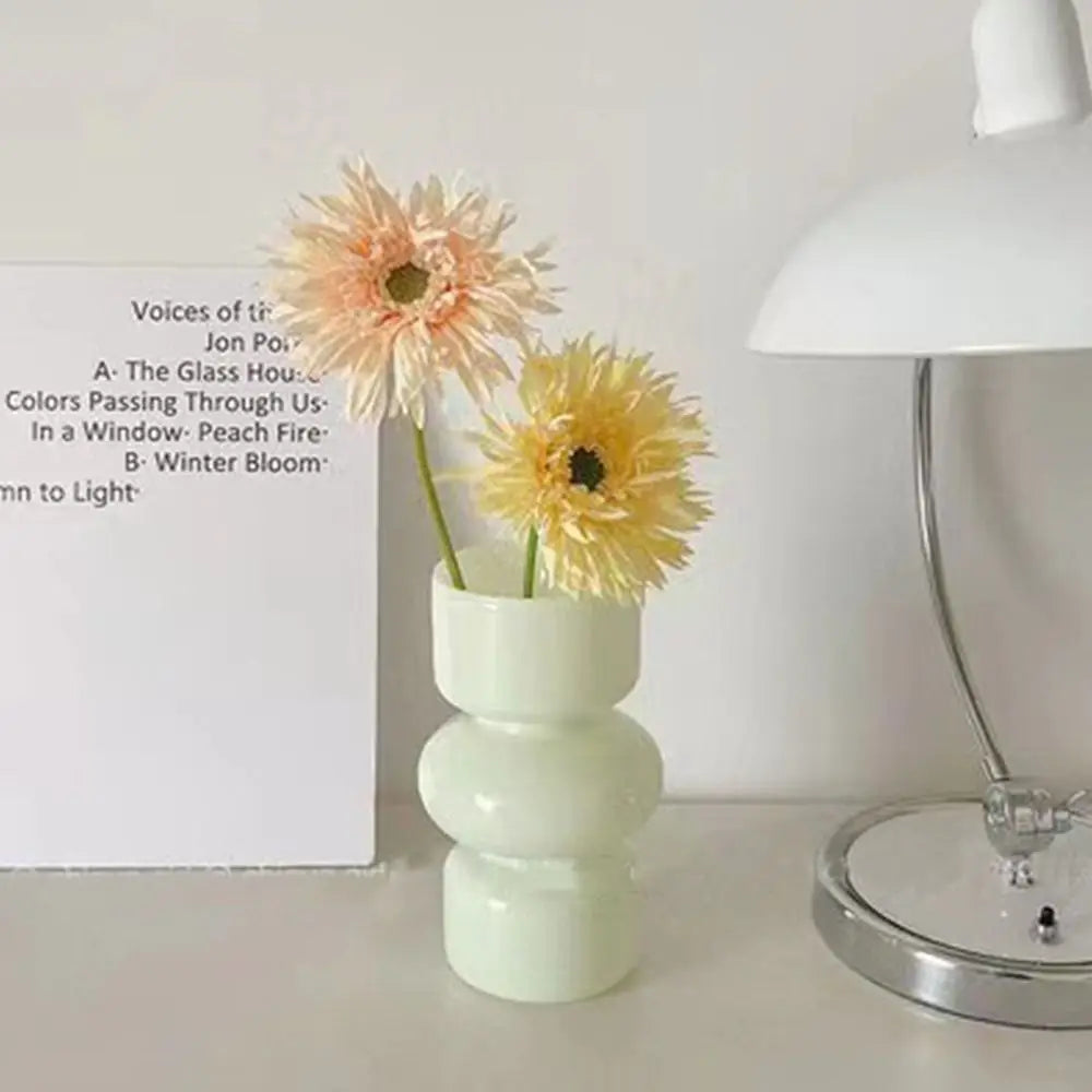 Minimalist Hydroponic Glass Vase