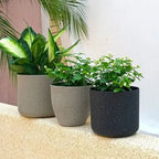 Frosted Outdoor Planter