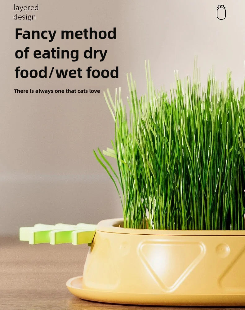 Hydroponic Cat Grass Planter