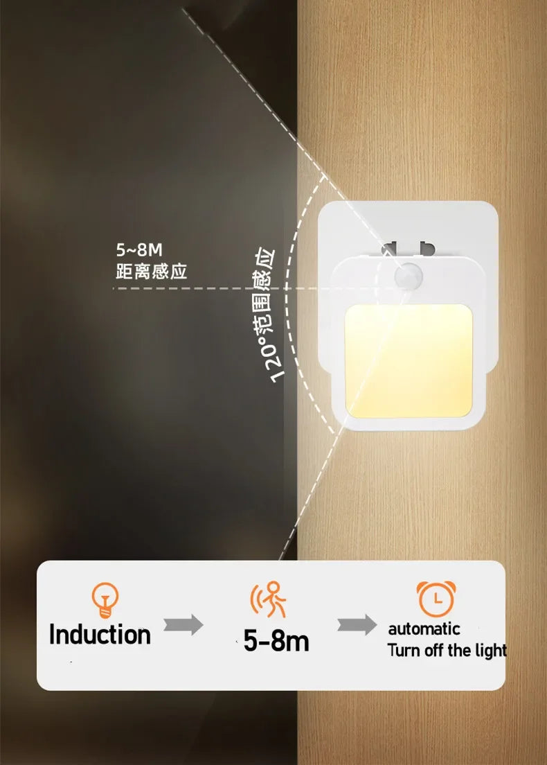 Dimmable Night Light