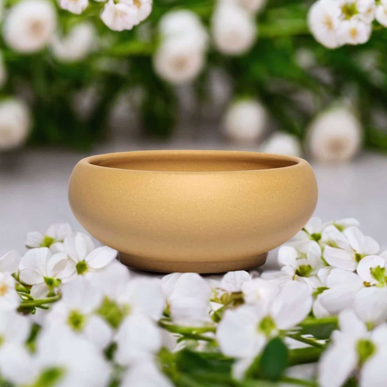 Ceramic Bonsai Planter