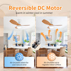 Dc Dimmable Remote-Control LED Ceiling Fan with Light