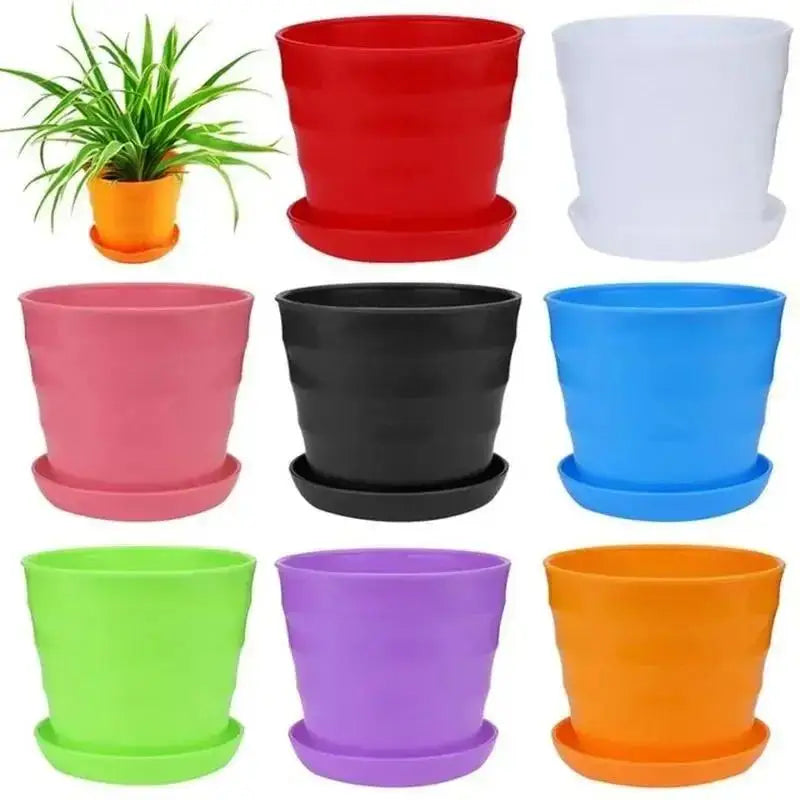 Colorful Nursery Planter