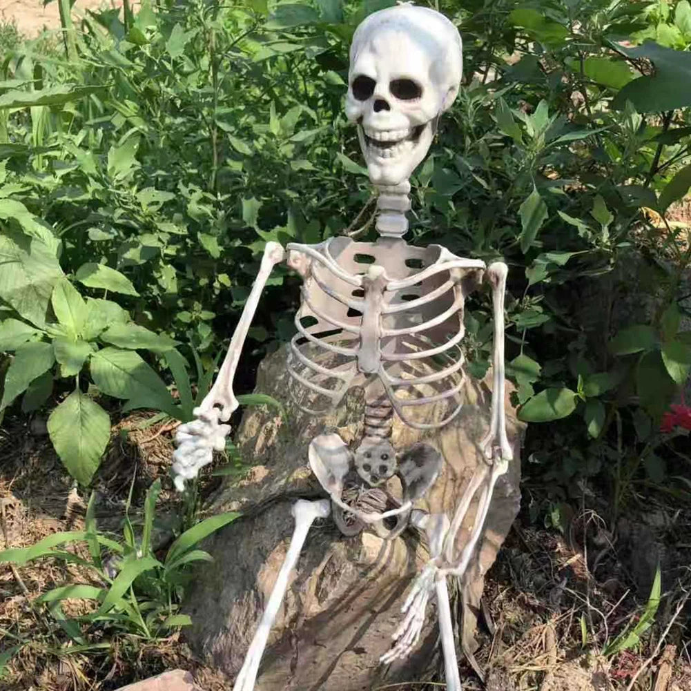 Life-Size 170 cm Posable Halloween Skeleton