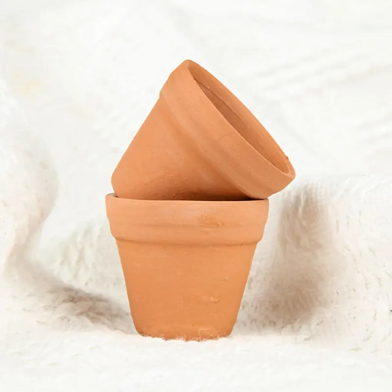 Planters Bulk 30-Pack