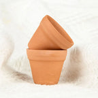 Planters Bulk 30-Pack
